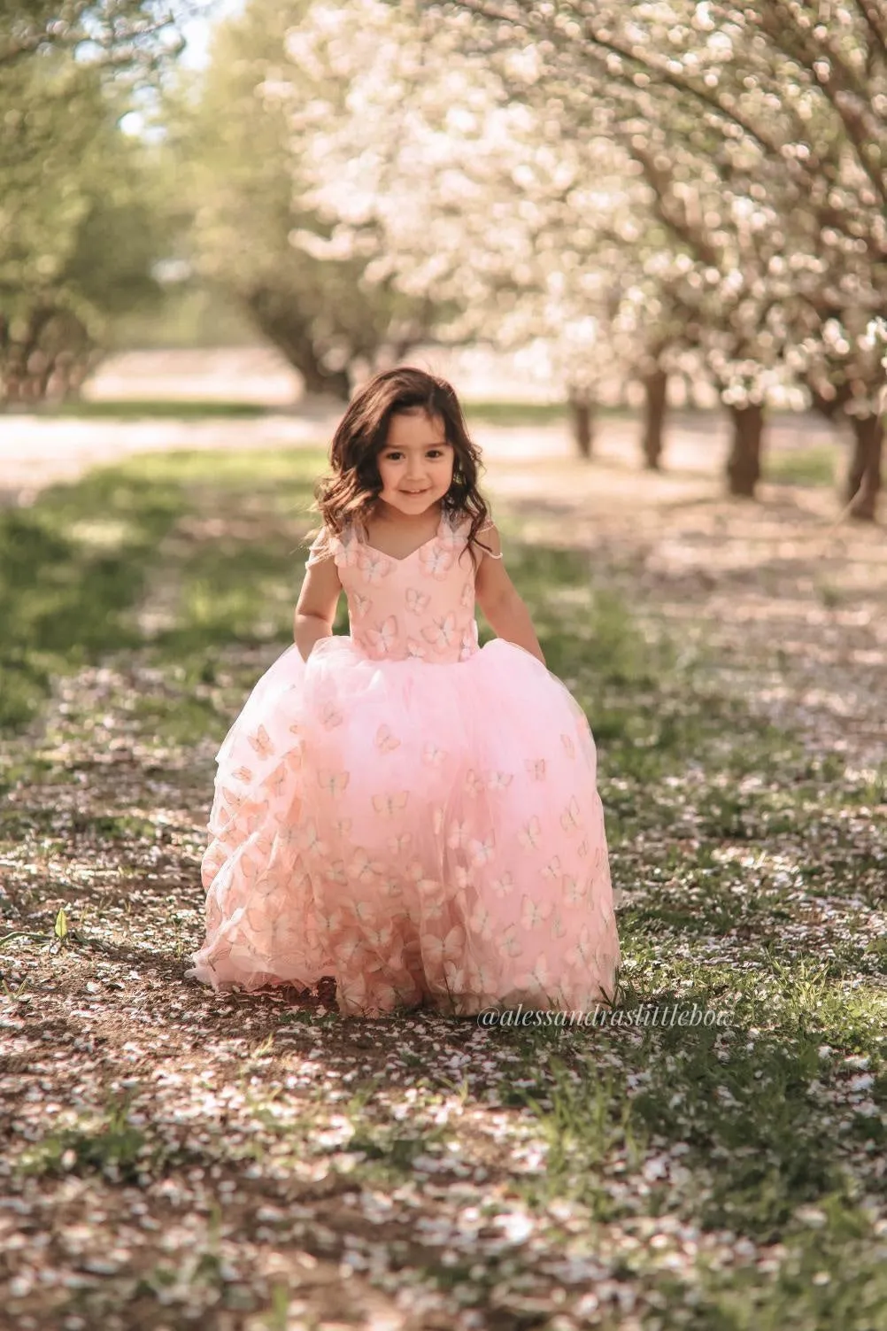 Blush Butterfly Couture Gown