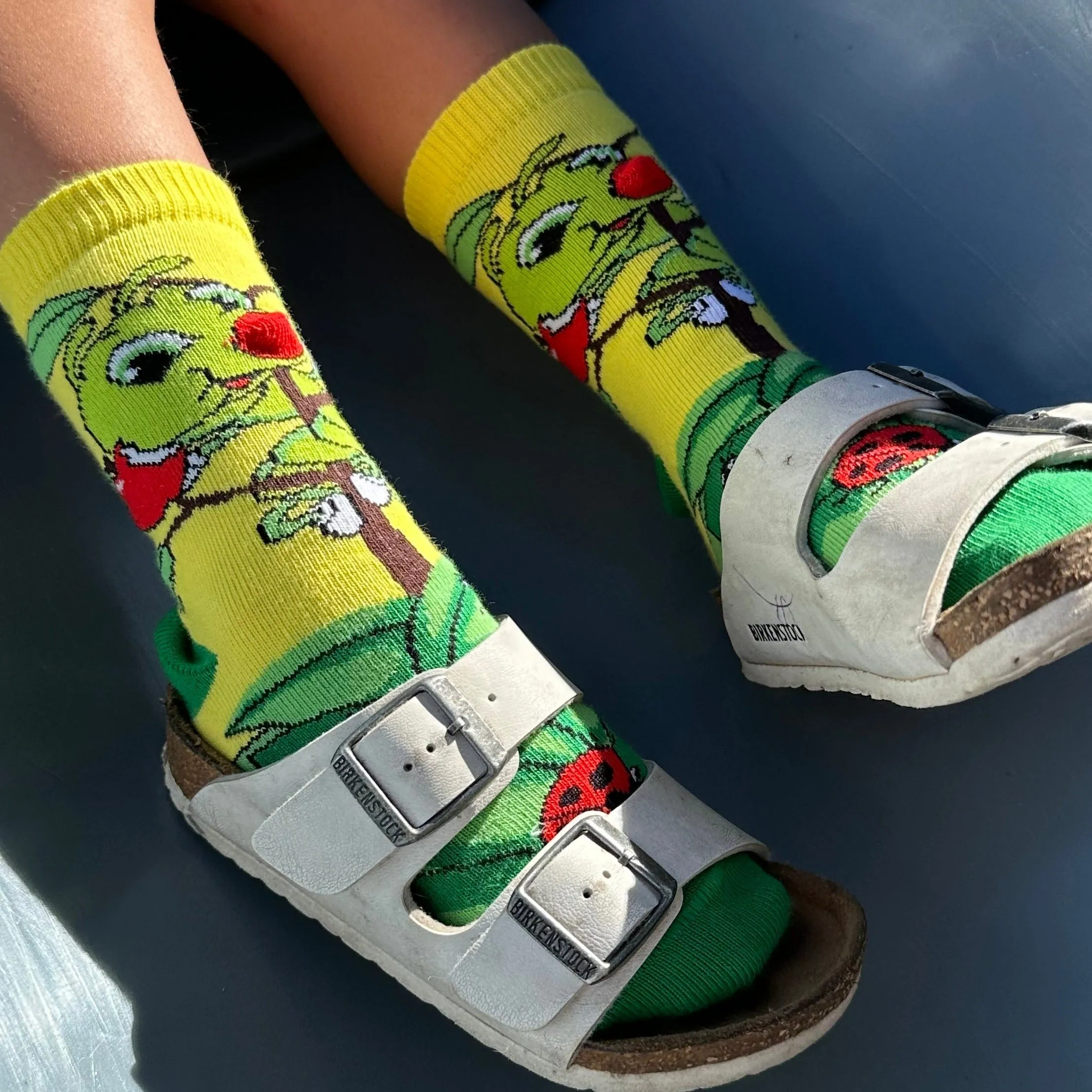 Caterpillar Socks from the Sock Panda (Ages 3-7)