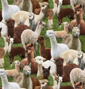 Cute Alpaca Fabric