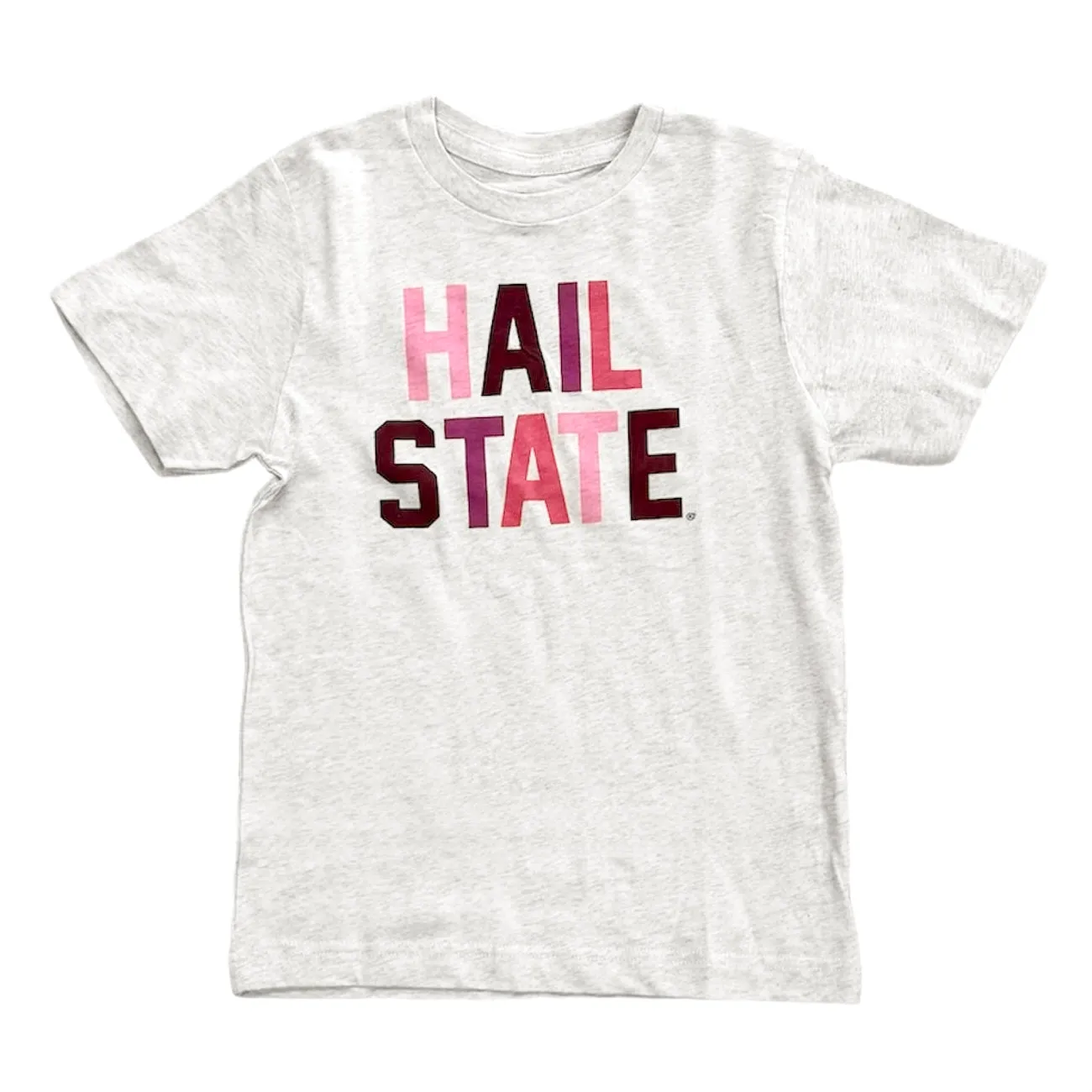 HAIL STATE Multi-Block Tee