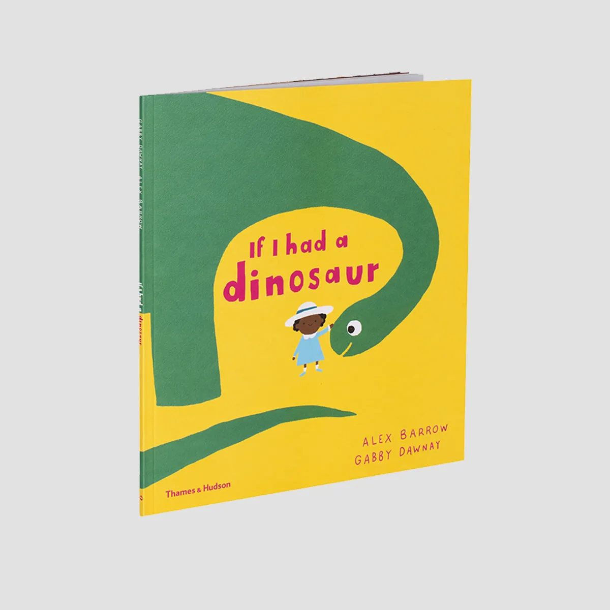 If I Had A Dinosaur Children's Book