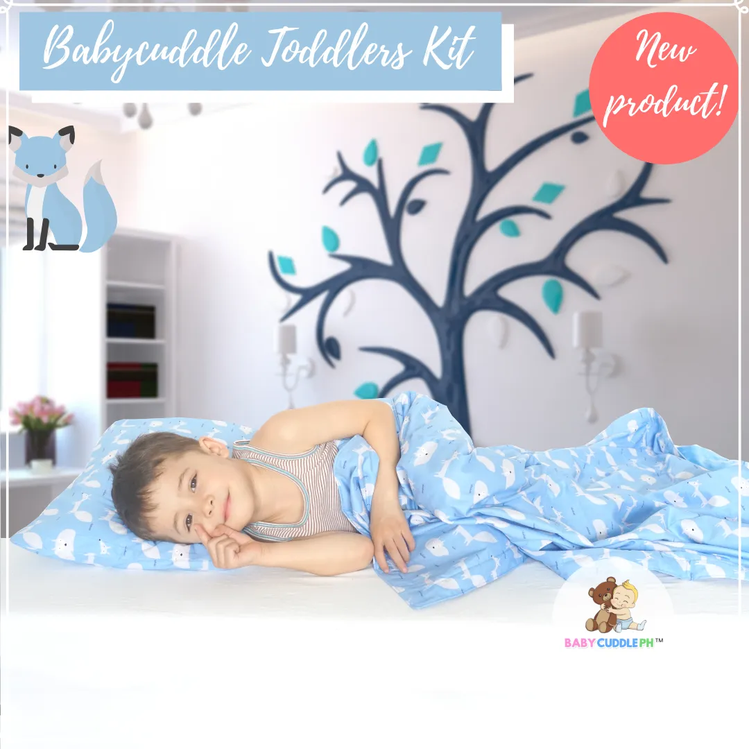 Little Fox in Teal -  Babycuddleph Toddlers kit (Pillow & Blanket)