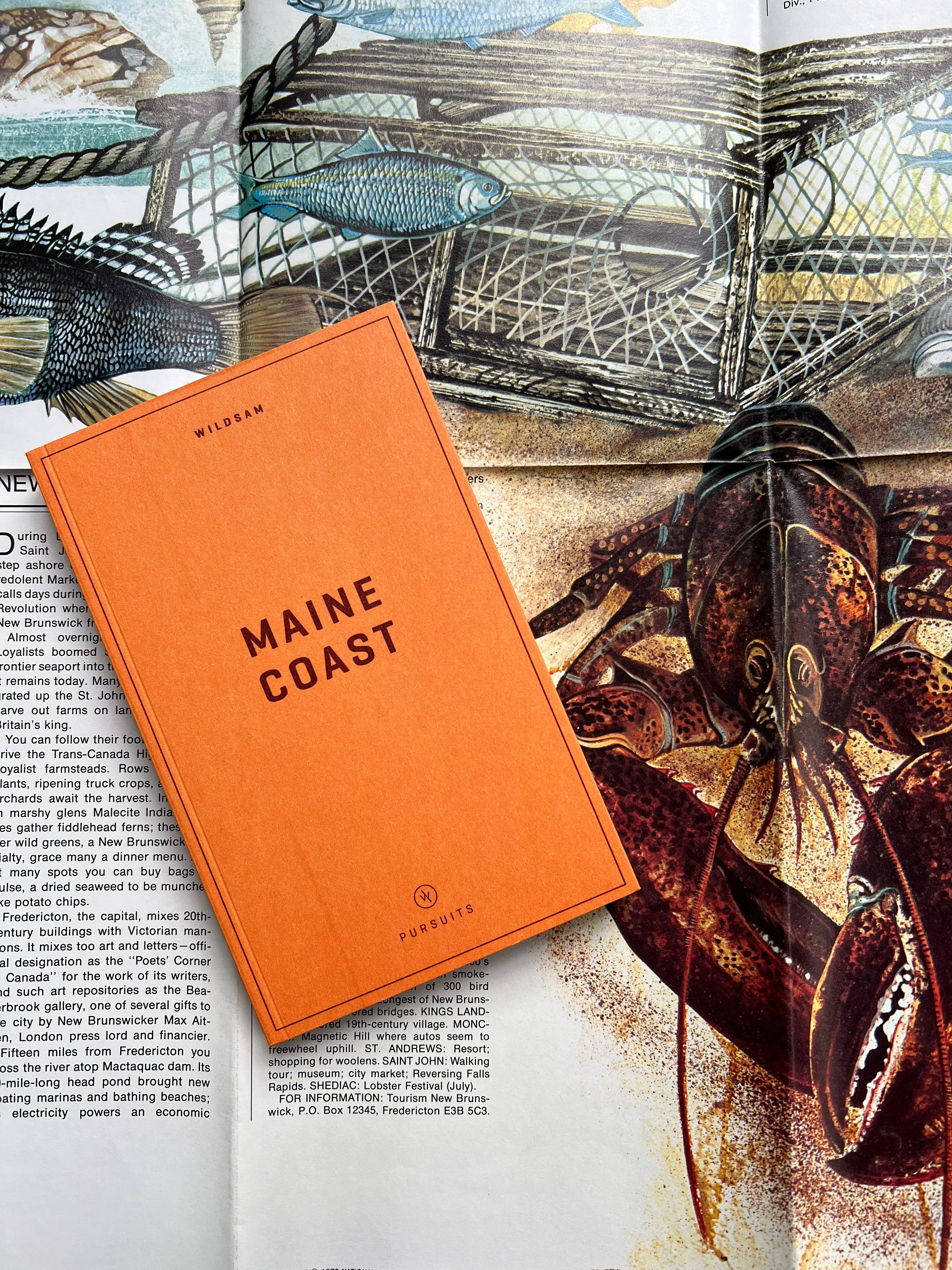 Wildsam Field Guide, Maine Coast